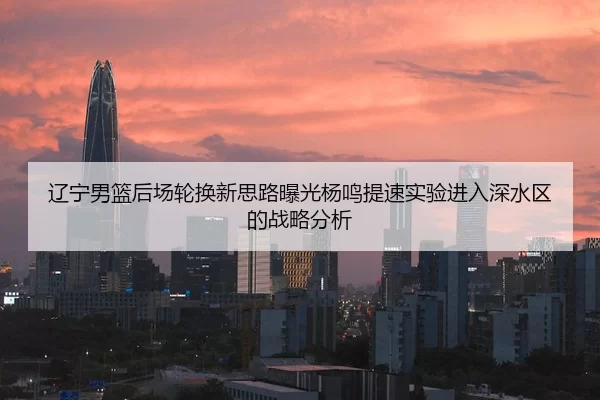 辽宁男篮后场轮换新思路曝光杨鸣提速实验进入深水区的战略分析