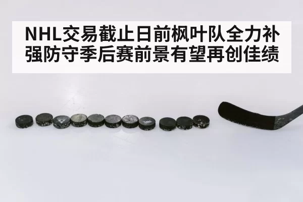 NHL交易截止日前枫叶队全力补强防守季后赛前景有望再创佳绩